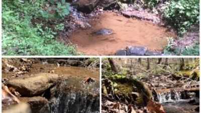    creek enters the property at the highest elevation 