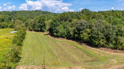 Excellent hay fields