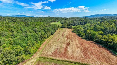 Crooked Creek on one side of field