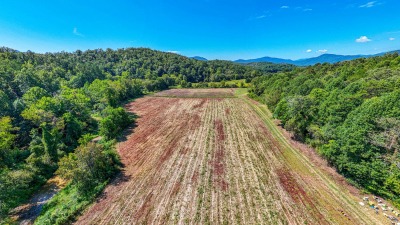 Abundant cropland