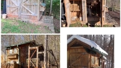   chicken house, coop supports need attention, house, foundation and storage are sound
