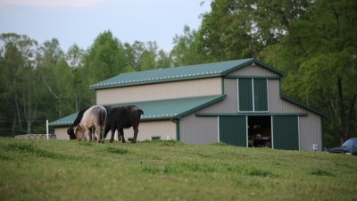 Barn