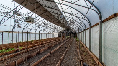 Greenhouse interior