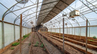 Greenhouse interior