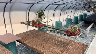 Greenhouse interior