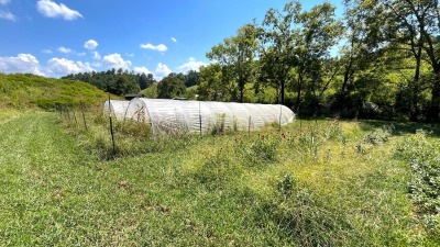 Hoop houses and fenced garden