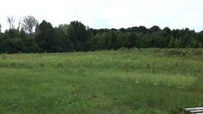 Open pasture