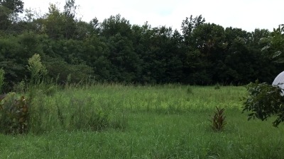 Field 