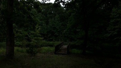 Pond
