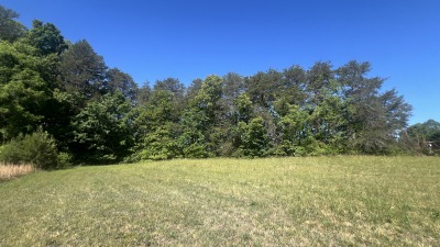 Fields