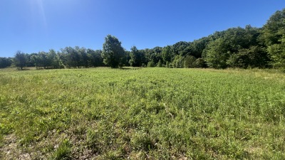 Fields