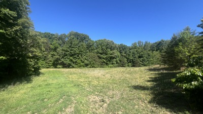 Fields
