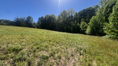 Fields