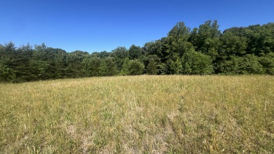 Field