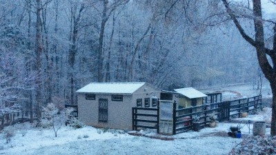 Barn & coop on a snowy day