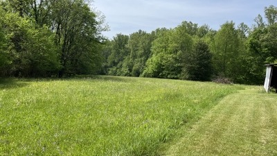 Back Field