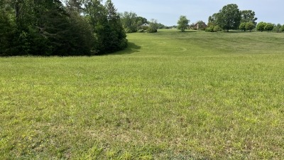 South Field