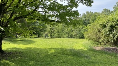 Old Pasture