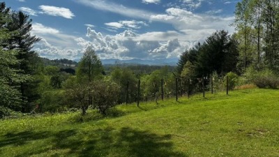 western view - my brother's experimental vinyard