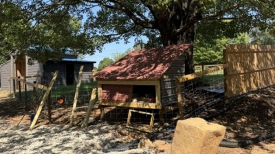 new chicken coop