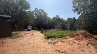 another small fenced garden area.  it's overgrown, but there are roughly 20 watermelons growing in there