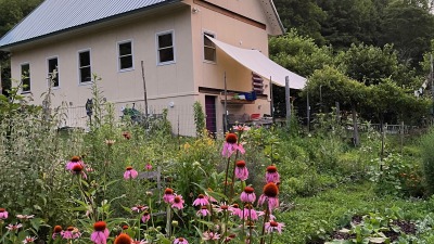 flowers & shop