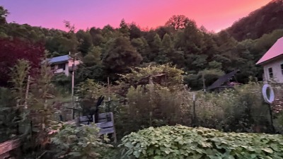Inner Peace garden