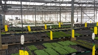 Unlimited potential to grow your vision at SMWX