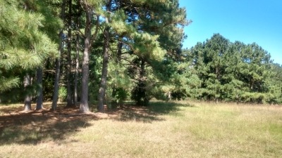 Field views