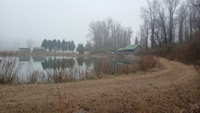 Pond and Cabin