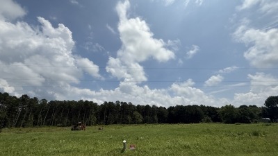 View from Big Mary Road 