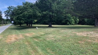 PEAR TREES AND FRONTAGE RIGHT OF HOUSE