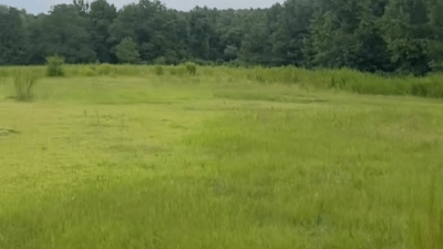 Open grassland originally used for cows to graze. Currently not being used.