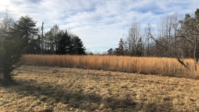 Facing back of property