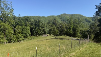 fenced pasture with shelter tall enough for a goat or sheep 