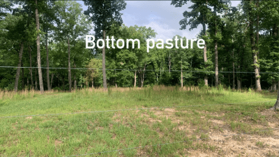 bottom pasture