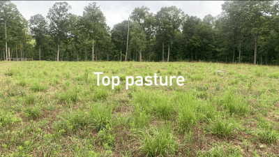 top pasture