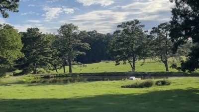 Pond with pier in mid back pasture