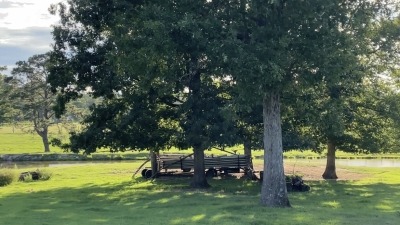 Irrigation equipment near pond in back pasture