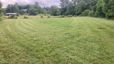 the unfenced pasture - field below