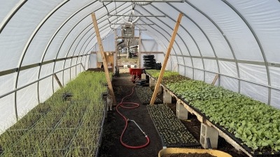 greenhouse