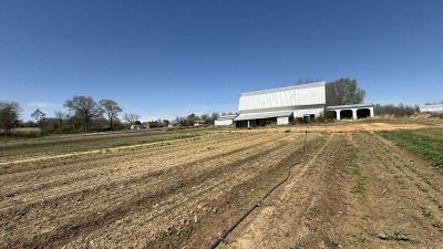 barn and field
