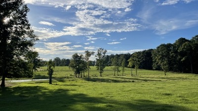 mid Back pasture which backs up to a wooded area on 3 sides