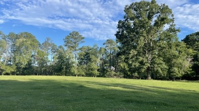 Upper back pasture backing up to a wooded area