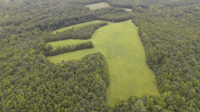 Open land 
