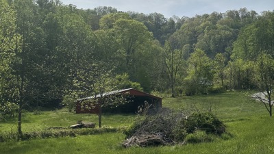 Lower portion of property looking north west