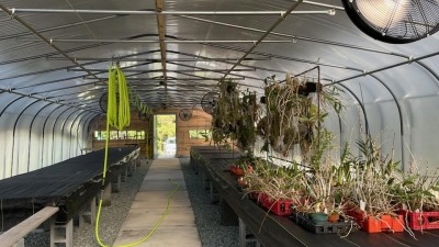 Greenhouse interior