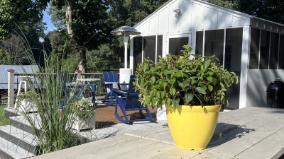 Outdoor Kitchen and Shed