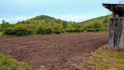 View of the gardening area with the gardening shed visible on the right hand side.