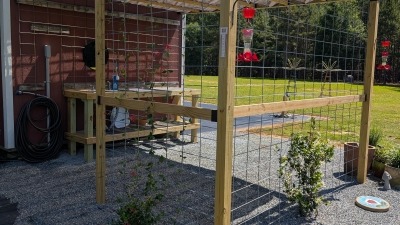 Pergola and sink at garden building